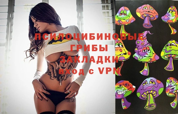 гашик Балахна