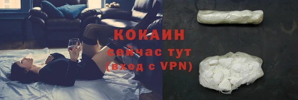 гашик Балахна
