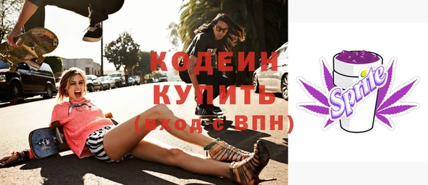 гашик Балахна
